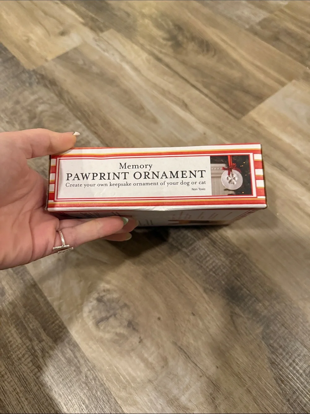 Memory Pawprint Ornament Kit - Red and White